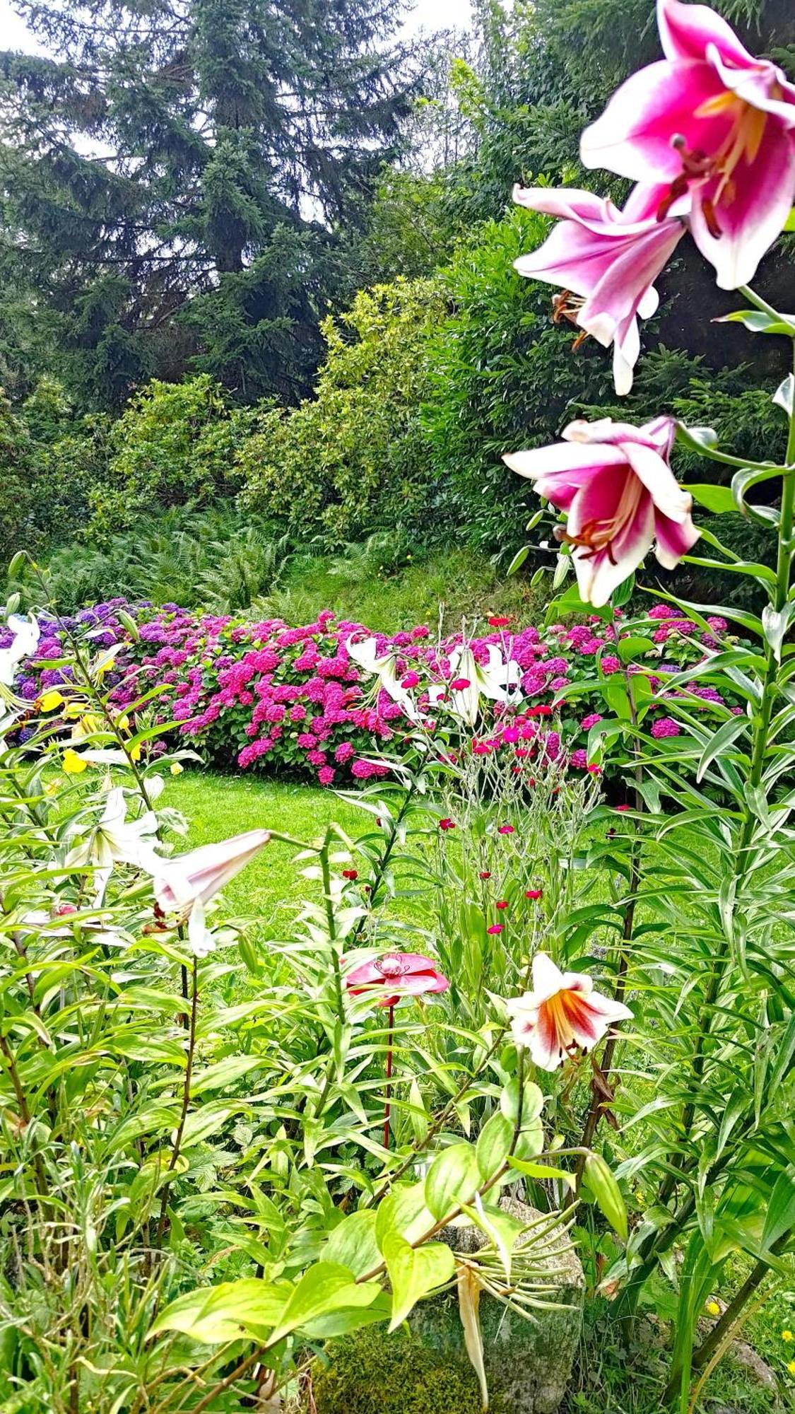לינה וארוחת בוקר Yzeron Un Jardin Secret מראה חיצוני תמונה