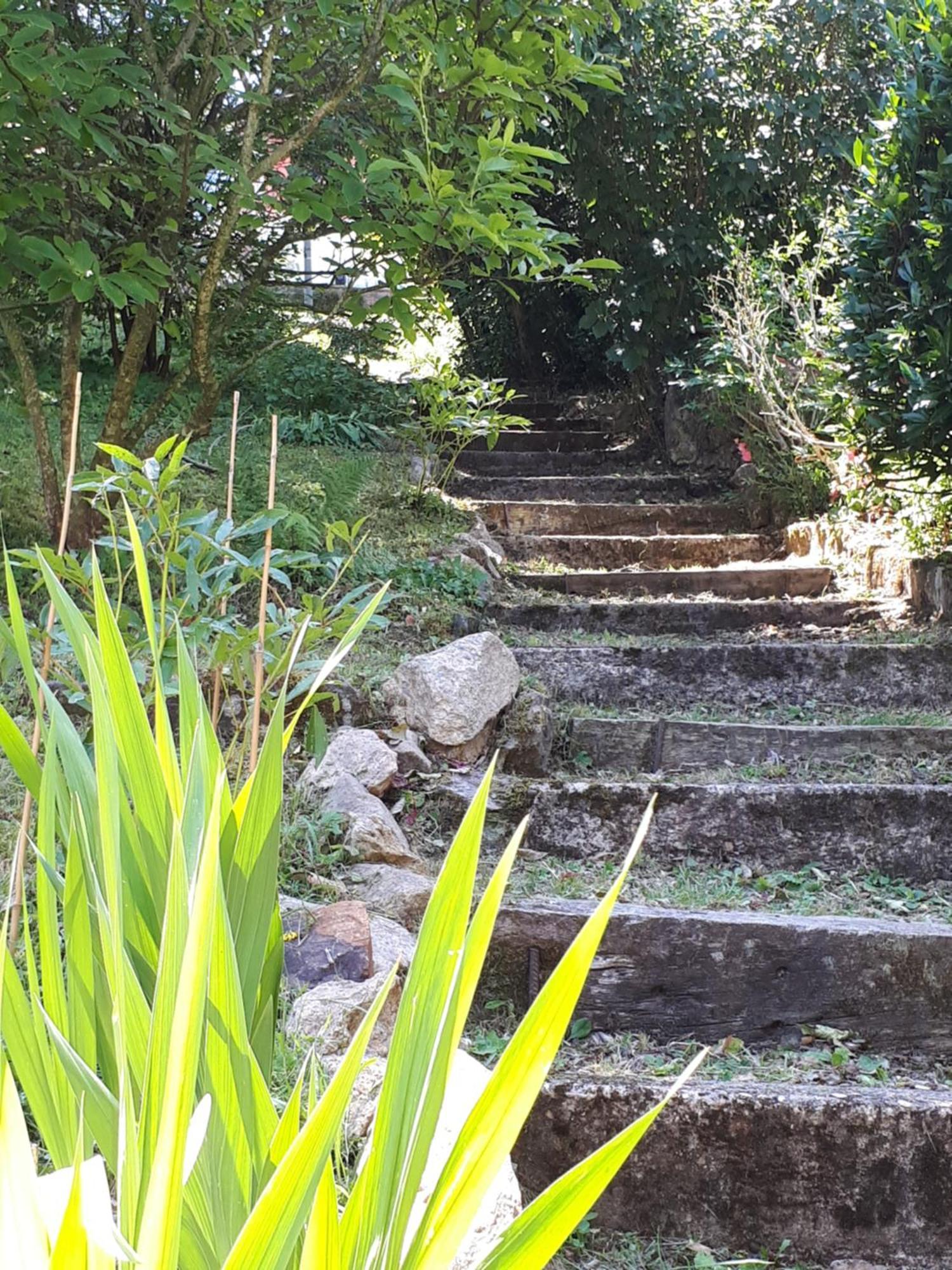 לינה וארוחת בוקר Yzeron Un Jardin Secret מראה חיצוני תמונה